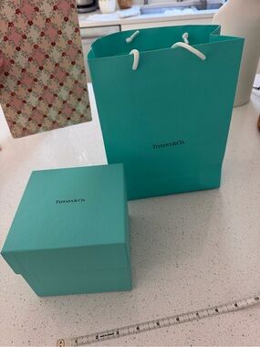 Tiffany & Co. Robin's-egg Blue Gift Bag and Box
